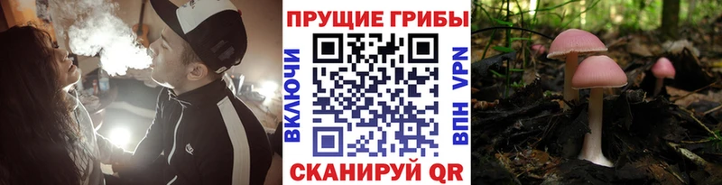Галлюциногенные грибы мицелий  дарнет шоп  Верхняя Салда 