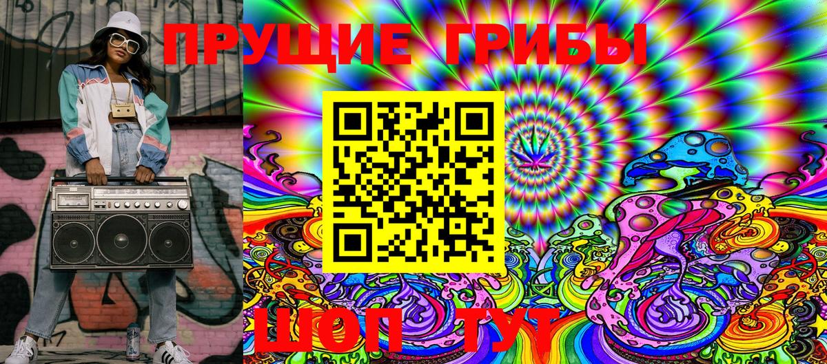 Галлюциногенные грибы Psilocybe Верхняя Салда