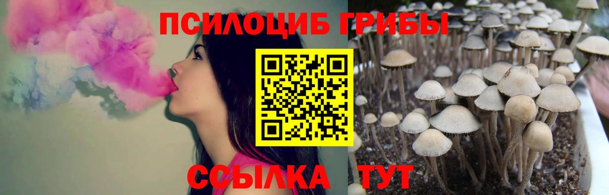 Галлюциногенные грибы Magic Shrooms  Галлюциногенные грибы Psilocybine cubensis  Верхняя Салда  Вход с VPN 